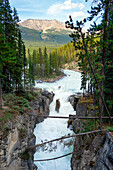 Sunwapta Fall, Jasper National Park, Jasper, Alberta, Kanada
