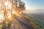 Wanderer geht auf dem Weg in einem nebligen Morgen, Adda Fluss, Airuno, Lecco Provinz, Lombardei, Italien, Europa (MR)