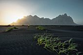 a traveller enjoy the sunset in front on the Vestrahorn mountain, Austurland, Iceland, Europe