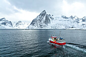 a fisherman boat sails in Reine bay with Olstind peak covered with snow, Lofoten Islands, Norway, Europe