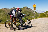 Mountain bikers looking at their map on the heights of the weisshorn, tourism, swiss alps, resort of arosa, canton of the grisons, switzerland