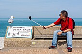 Chinesischer Tourist, der sich einen Spaß daraus macht, eine Möwe mit einem Selfie-Stick und einem Martinshorn zu fotografieren, Tourismus, Übertourismus, Offbeat, Etretat, seine-maritime, Normandie, Frankreich