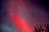 Aurora Borealis Nordlichter rote Explosion in der Nähe von Kleefeld, Manitoba, Kanada