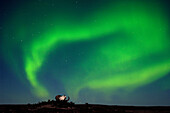 Aurora Borealis Nordlicht auf der Tundra über dem Schädel des Moschusochsen (Ovibus moschatus) in der Nähe von Yellowknife Nordwest-Territorien, subarktisches Nordkanada