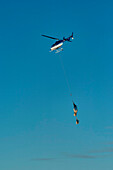 A helicopter carries mother polar bear and cubs.