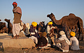 In the ground in Pushkar Camel Fair