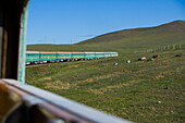 Crossing the steppe on a train
