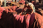 Leather tanning in Fez