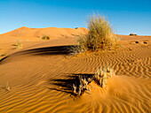 The Erg Chebbi sand dunes in Merzouga