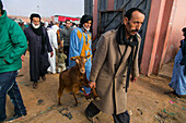 Menschen und Tiere auf dem Viehmarkt in Guelmim