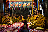 Gelugpa- oder Gelbmützen-Schule, buddhistische Mönche in einem Kloster in Tashi Lhunpo