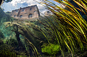Unterwasseransicht der Gärten von Ninfa, einem von der Familie Caetani geschaffenen Naturdenkmal. Diese Aufnahme ist Teil einer Auftragsarbeit für die Stiftung Roffredo Caetani, die die Oase verwaltet.