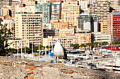 Seagull and Monaco skyline and port in view