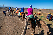 Agafay Desert camel ride Morocco