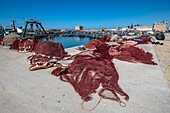 Morocco - Essaouira