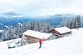 Eine Frau beim Schneeschuhwandern bei der Patscher Alm, Patscherkofel, Patsch, Innsbruck Land, Tirol, Österreich, Europa