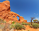 Arches Park, Moab, Utah, USA