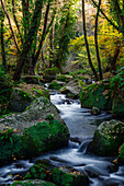 Fluss Treja, Mazzano romano, Rom, Italien