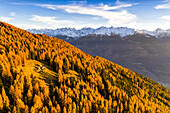 Gruppe von Hütten im Wald von der Sonne im Herbst beleuchtet. Schneebedeckte Berge im Hintergrund. Alpe Mara, Valtellina, Lombardei, Italien, Europa.