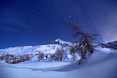 Night of full moon with view on Pizzo Scalino in winter. Valmalenco, Valtellina, Lombardy, Italy, Europe