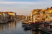 Italien,Venetien,Venedig,die ersten Lichter des Tages erhellen den Canal Grande (Canal Grande)