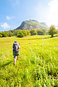 Meadows under Montovolo, Valle del Reno, bolognese Apennine, province of Bologna, Emilia Romagna, Italy