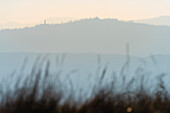 Hügel in einem winterlichen Sonnenuntergang, Valle del Torrente Ghiaia Coppa, Oltrepo Pavese, Provinz Pavia, Lombardei, Italien