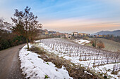 Das kleine Dorf Barisonzo (Val Schizzola, Oltrepo Pavese, Apennin, Provinz Pavia, Lombardei, Italien)