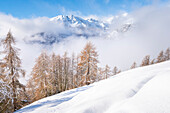 Mont Meabe von La Magdeleine aus gesehen, Valtournenche, Aostatal, Italienische Alpen, Italien