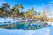 Kleiner See im Wald, Cegni, Staffora-Tal, Oltrepo Pavese, Provinz Pavia, Apennin, Lombardei, Italien