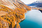 Switzerland, Canton of the Grisons, Maloja region, Sils im Engadin/Segl: road alongside Lake Sils in autumn, with the villages of Sils-Baselgia and Sils-Maria and Lake Silvaplana in the background.