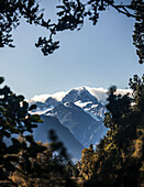 Der höchste Gipfel des Landes, Mount Cook, gesehen durch ein Herz aus Ästen im Regenwald, Westküste, Neuseeland, Ozeanien