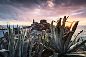 Agave im Vordergrund während eines Sonnenuntergangs an der Kirche San Pietro, Gemeinde Portovenere, Provinz La Spezia, Ligurien, Italien, Europa