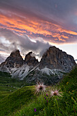 Langkofel Sassolungo group at sunset from Sella pass, Fassa Valley, Trentino Alto Adige, Dolomites, Italy.
