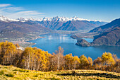 Berglandschaft von den Bergen von Bregagno Berg mit Como See im Hintergrund im Herbst. Cremia, Como Bezirk, Lombardei, Alpen, Italien, Europa.