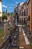 In front of the Marcello theater you can see the remains of the temple of Apollo. Rome, Lazio, Italy, Europe