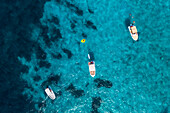 Sailing boats moored to the Lerins Islands (Iles de Lerins), Cannes, Grasse, Alpes-Maritimes department, Provence-Alpes-Cote d'Azur region, France, Europe
