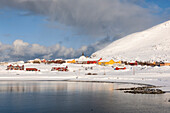 Das Küstendorf Hasvik ist im kalten arktischen Winter mit Schnee bedeckt (Soroya Island, Troms og Finnmark, Norwegen)