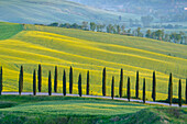 Italy, Tuscany, Orcia Valley, Meadows in Spring