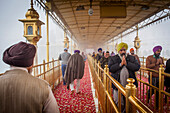Devotees am Damm zum Goldenen Tempel, Amritsar, Punjab, Indien
