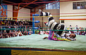 Lucha Libre. Combat between El Prisionero and the cholita Angela la folclorista, wrestlers ,Sports center La Ceja, El Alto, La Paz, Bolivia