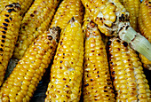 roasted corn, typical Colombian gastronomy