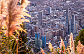 Skyline, downtown, from Montserrate hill or cerro de Montserrate, Bogota, Colombia