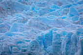 Detail, Grey Glacier, in Grey Lake, Torres del Paine national park, Patagonia, Chile