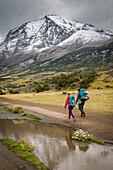 Wanderer im Torres-Sektor, Torres del Paine-Nationalpark, Patagonien, Chile