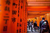 Torii-Tore im Fushimi Inari-Taisha-Heiligtum, Kyoto, Japan