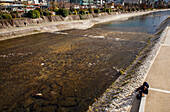 Kamo river in front of Pontocho,Kyoto, Japan