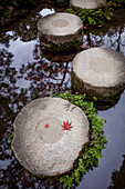 Garten, Heian-Jingu-Schrein, Kyoto, Japan