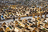 Friedhof, neben der Kasbah der Udayas, Rabat. Marokko