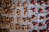 Stall detail,tamarind, ginger, onions, food market of Ambohimahasoa city, Madagascar